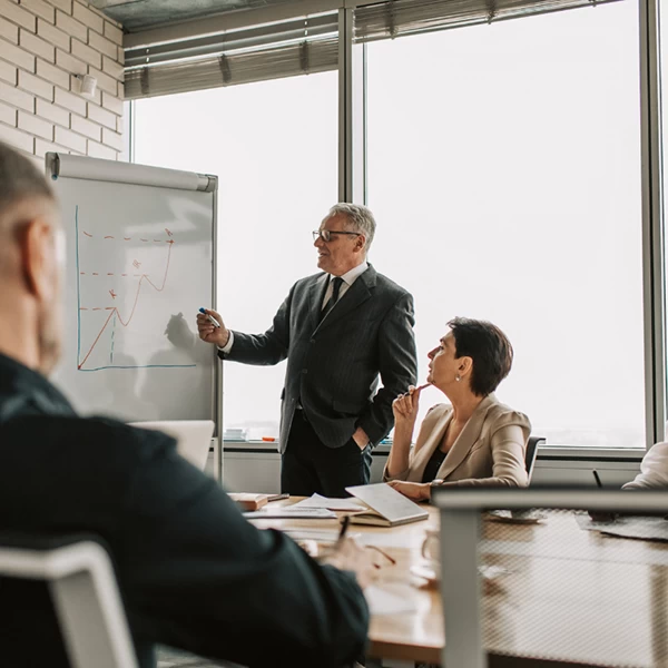 Development & Design Capabilities